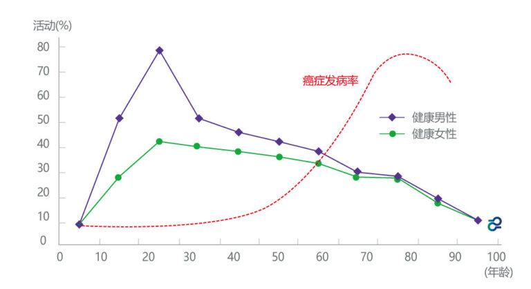 随着年龄变化的免疫细胞活性