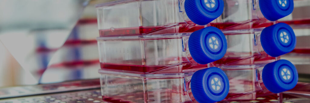 Fibroblast therapy progress