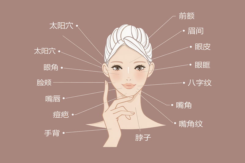 成纤维细胞治疗